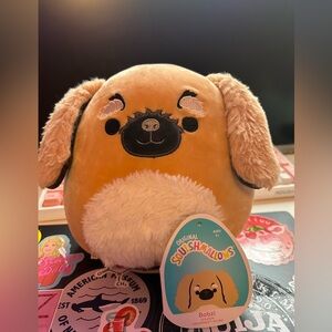 Bobzi dog squishmallow